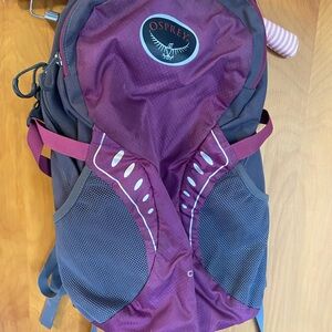 Osprey Daylite Purple and Gray Hiking Backpack